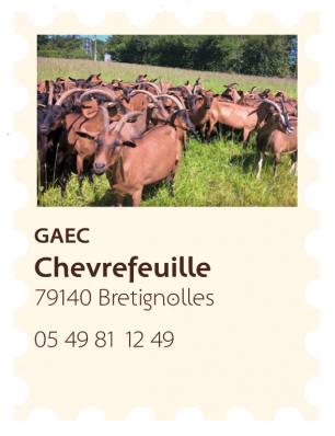 Chevrefeuille